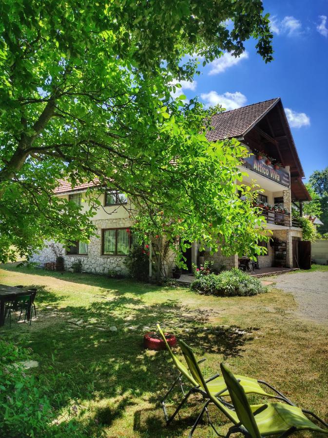 Attico Viva Bed & Breakfast Plitvicka Jezera Exterior photo